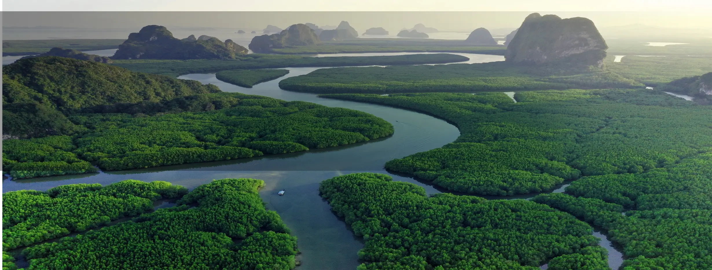 Image for River Odyssey Tours